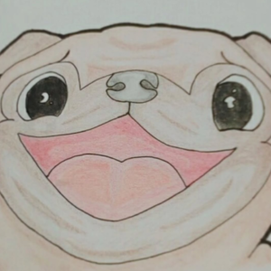 El Shen - Restrato caricatura perro Pug